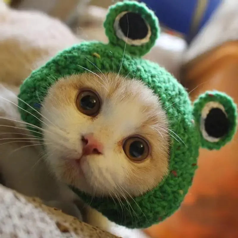 Gorro para Gato