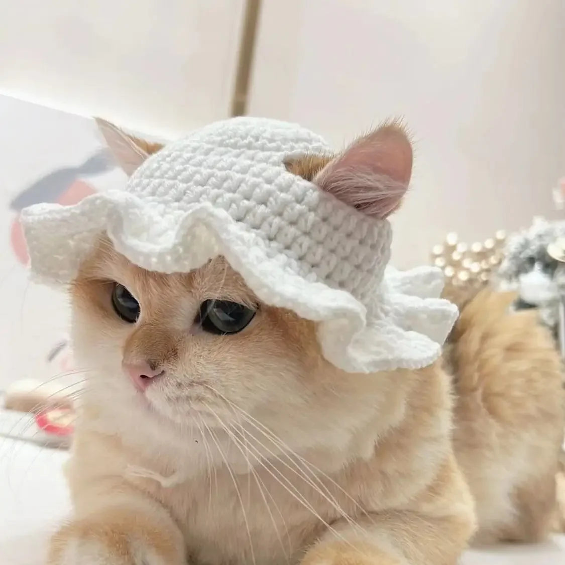 Gorro para Gato