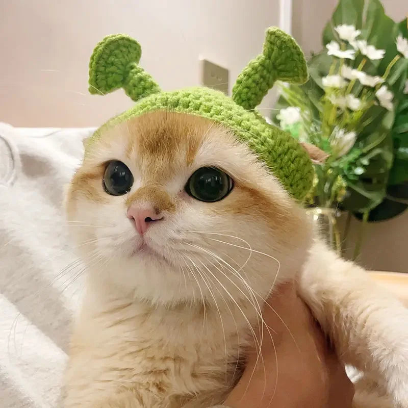 Gorro para Gato