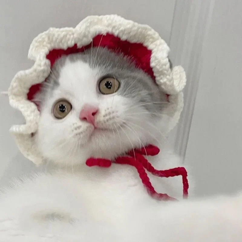 Gorro para Gato