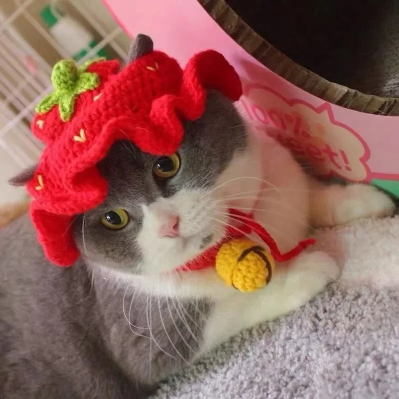 Gorro para Gato