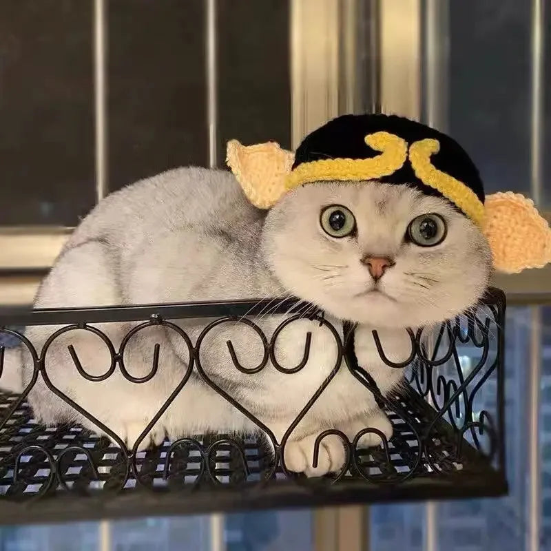Gorro para Gato