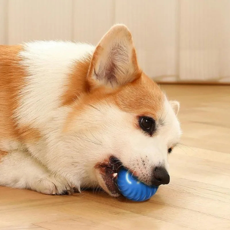 Pelota Automática