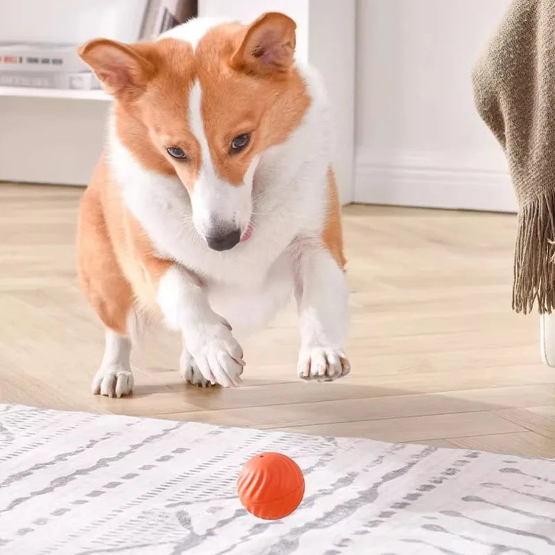 Pelota Automática