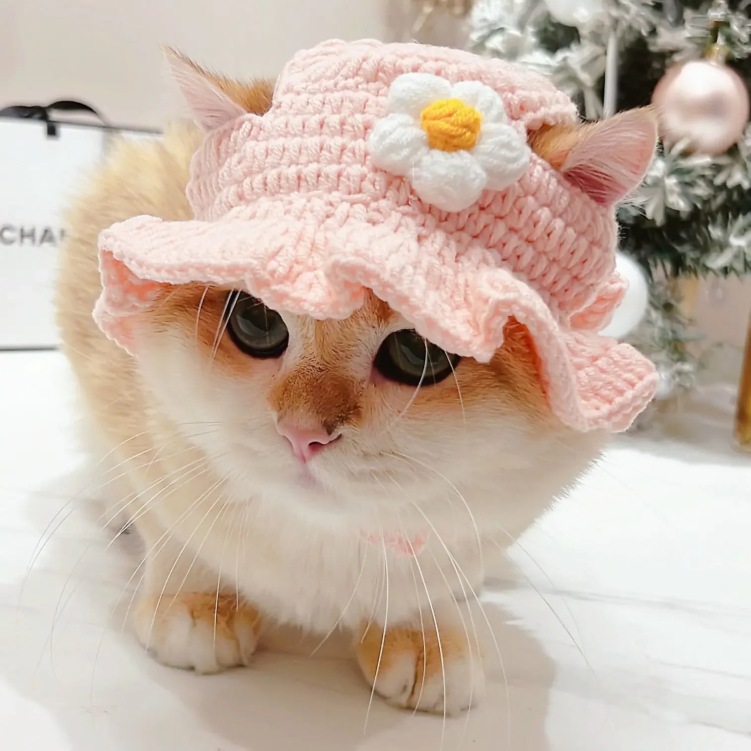 Gorro para Gato