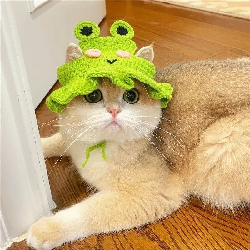 Gorro para Gato