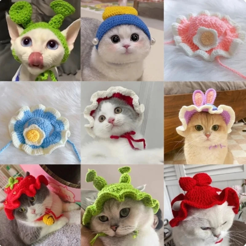 Gorro para Gato