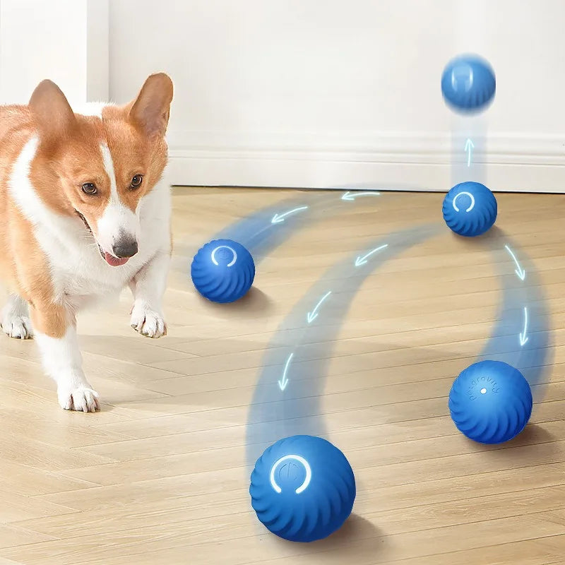 Pelota Automática