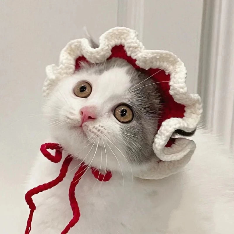 Gorro para Gato