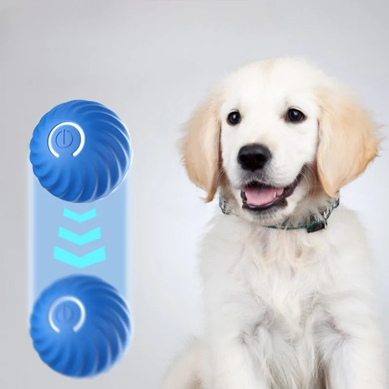 Pelota Automática