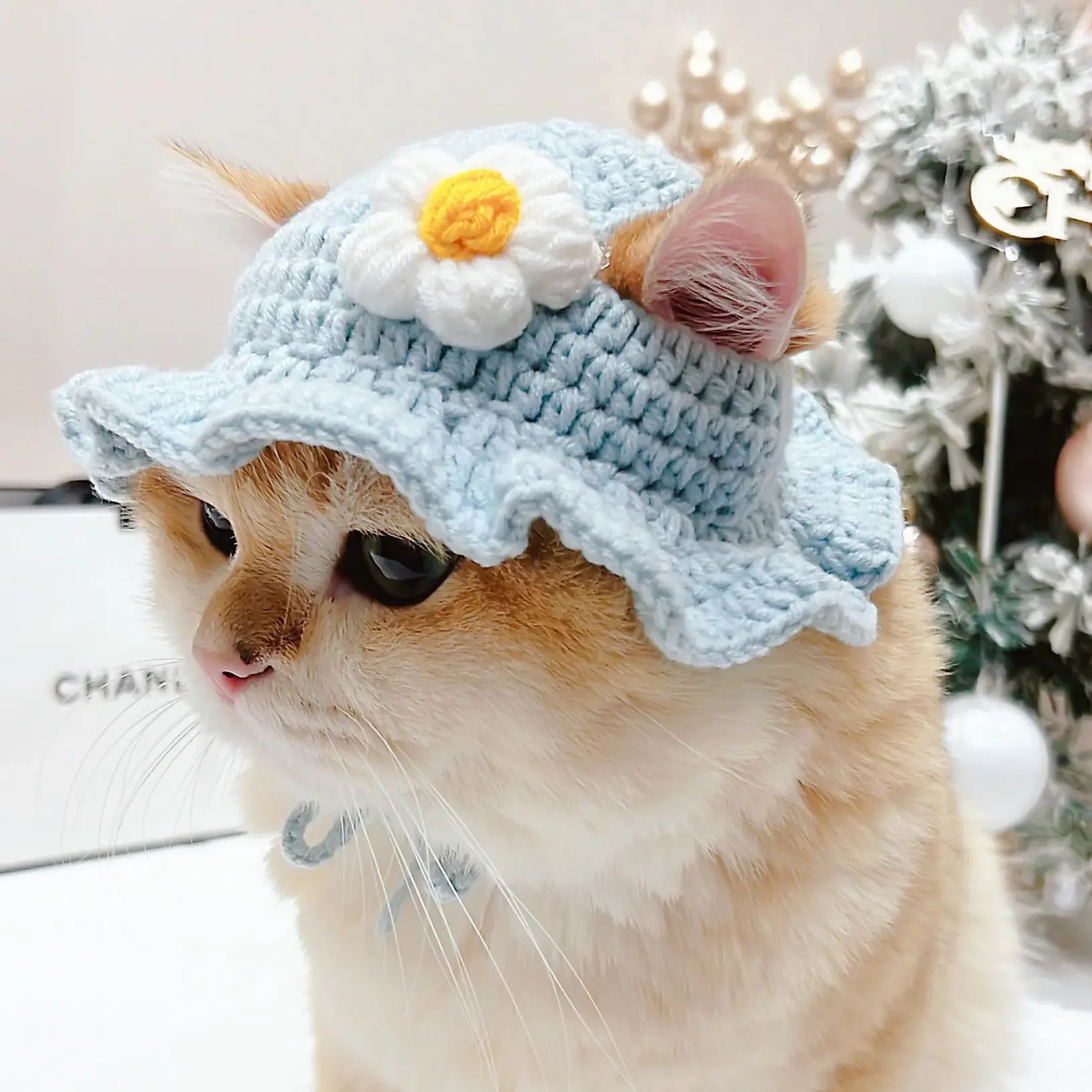 Gorro para Gato