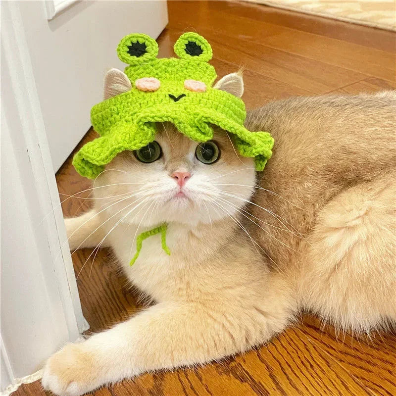 Gorro para Gato