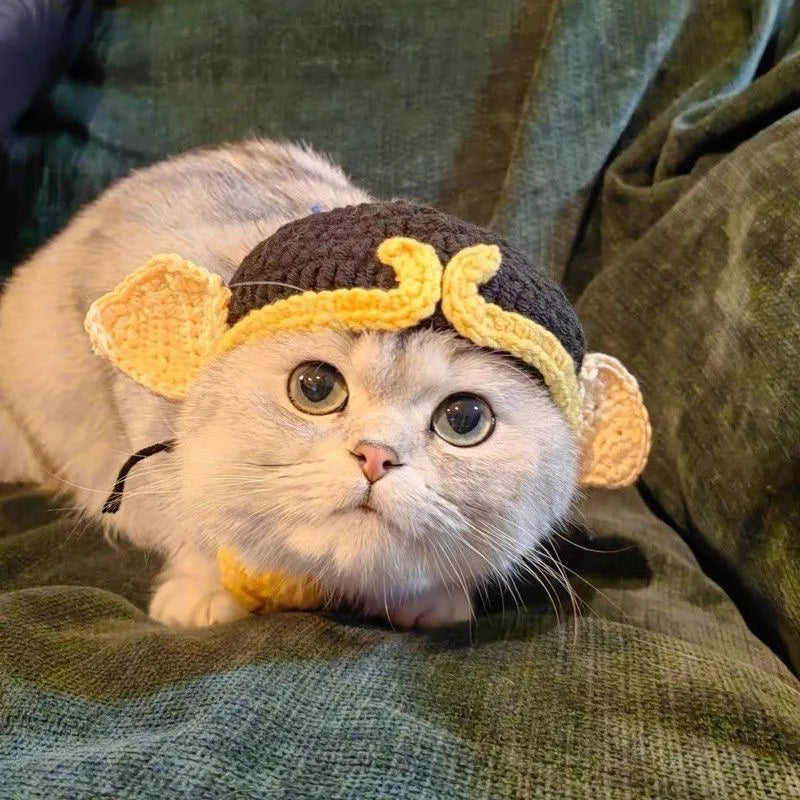 Gorro para Gato