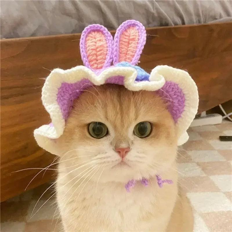Gorro para Gato