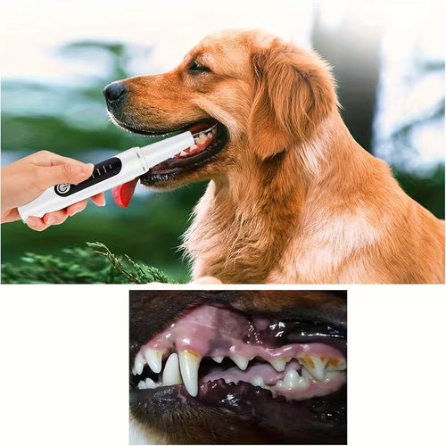 Cepillo de Dientes Eléctrico